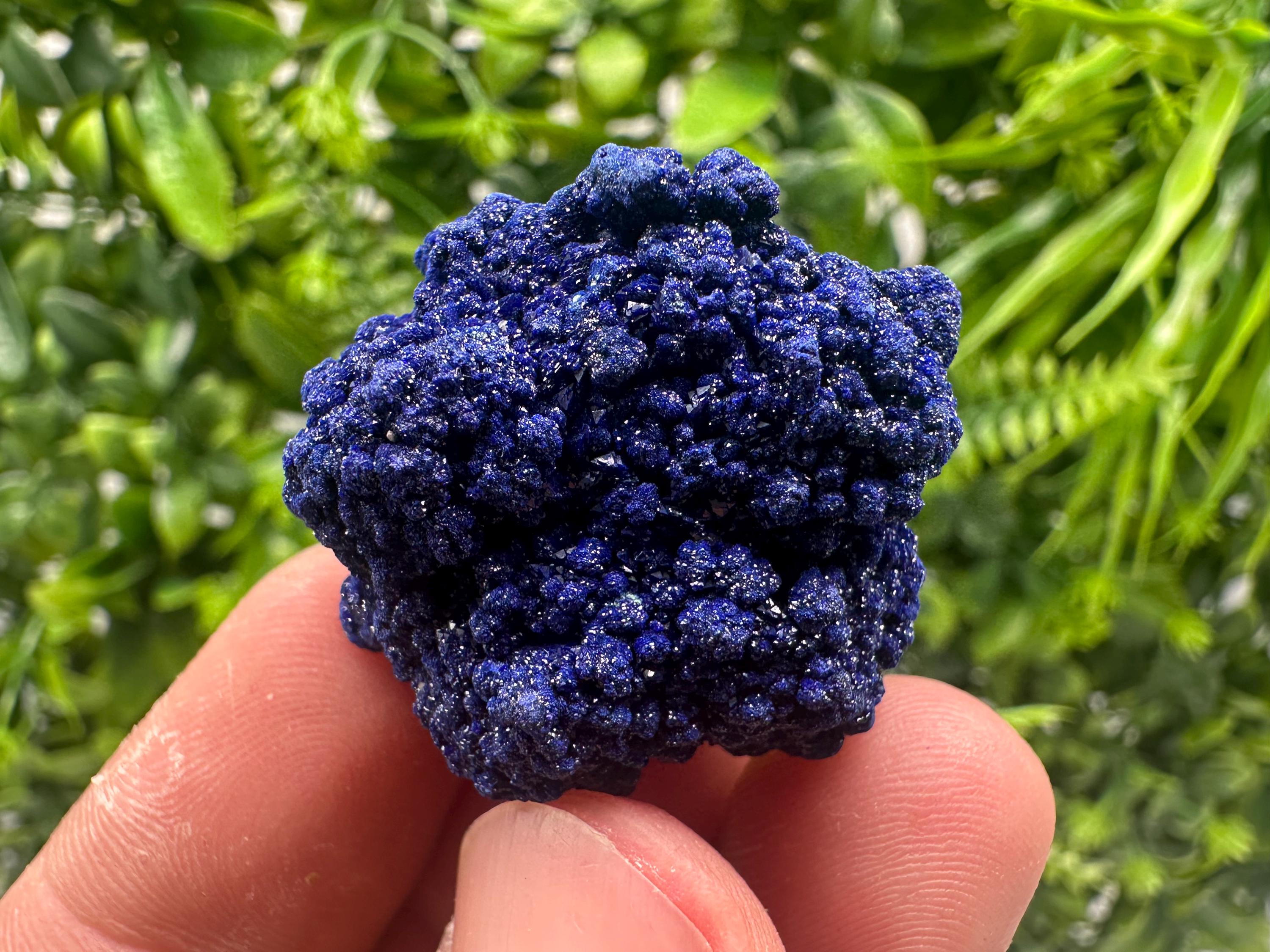 Crystallized Azurite-Kerrouchen,Morocco-Blue Azurite Specimen-High Quality Blue Azurite-Azurite Mineral Specimen, gemmy,lustrous of Azurite
