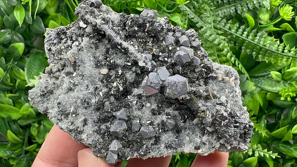 Galena with Sphalerite on Quartz, Borieva Mine, Bulgaria
