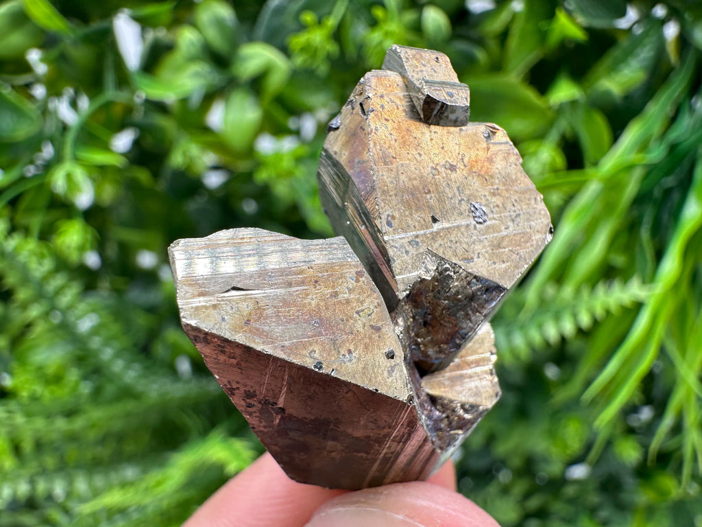 Mini Rainbow Pyrite Cluster, Borieva Mine Crystallization Specimen
