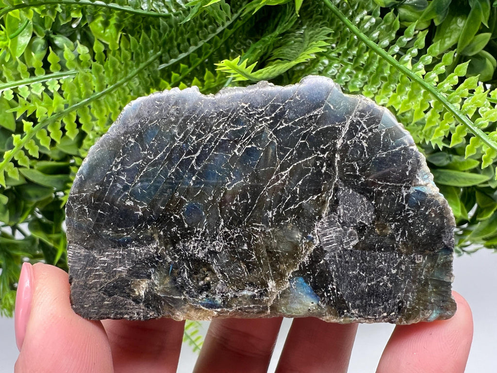 Polished Labradorite Slab: Multifire Crystal Decor - 118 Grams