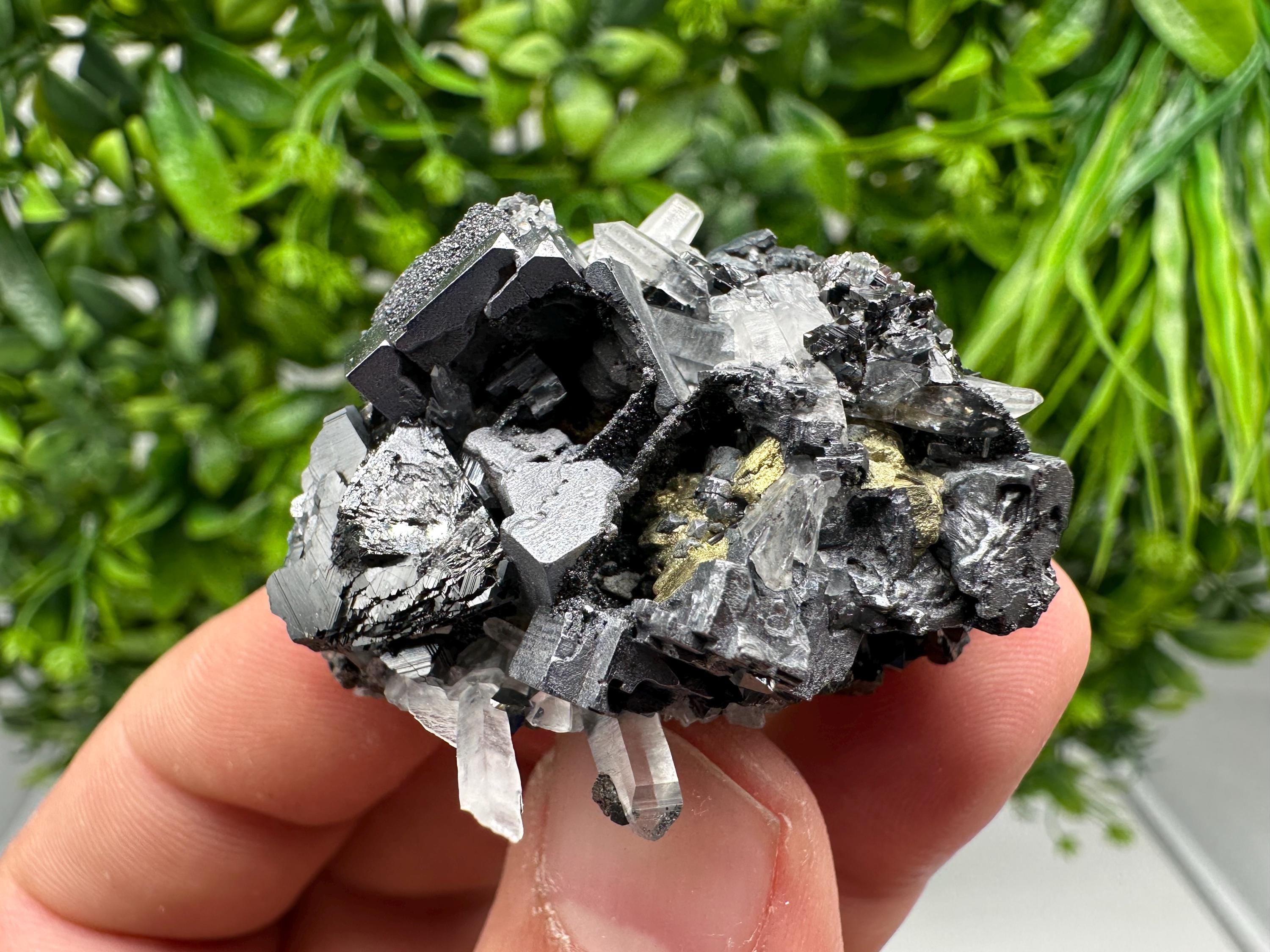 Wonderful Sphalerite Chalcopyrite on  Quartz whit Galena feom 9 th September mine,Bulgaria,natural,collection mineral specimen,gift