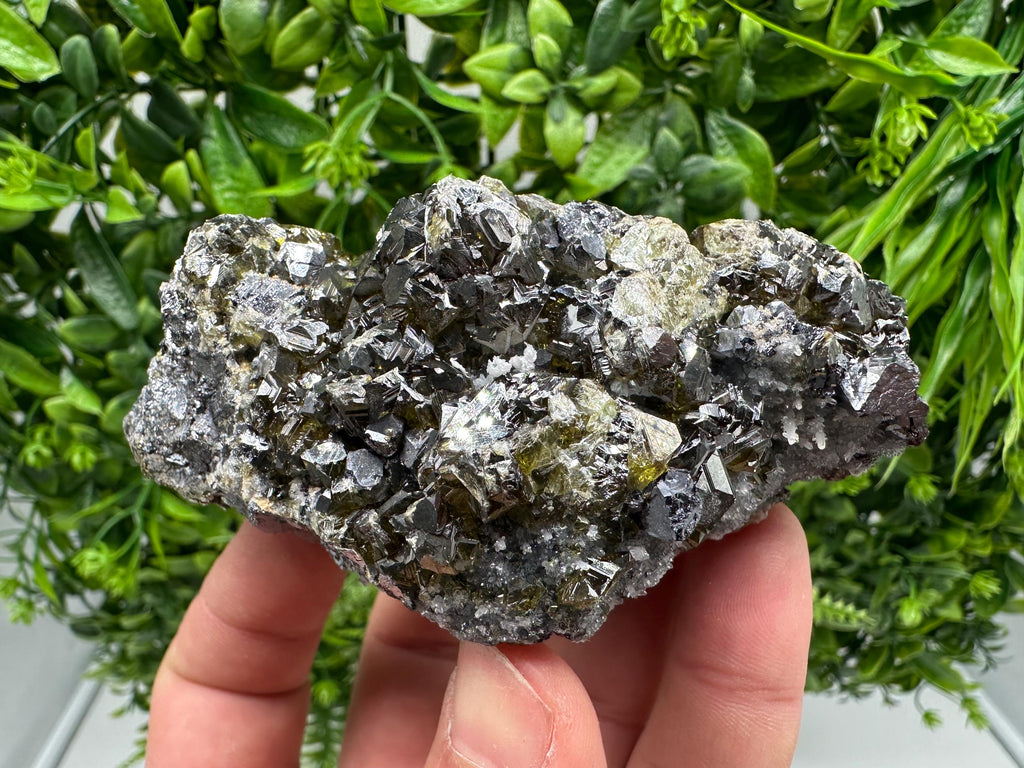 Stunning Gems Sphalerite Cleiopfane on Quartz from Krushev dol mine,Madan,Bulgaria,natural,collectible mineral specimen,home decor stone