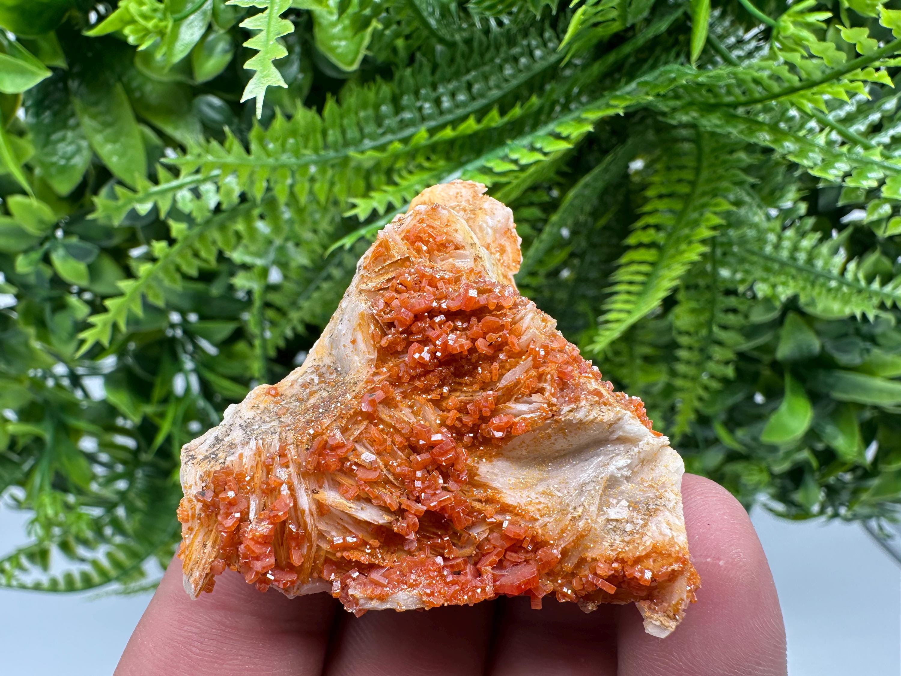 Red Vanadinite Crystal Cluster on Matrix, Morocco Mineral Specimen