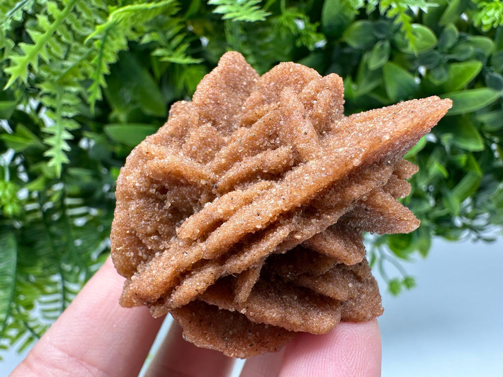 Natural Desert Rose Crystal - Root Chakra Healing Selenite