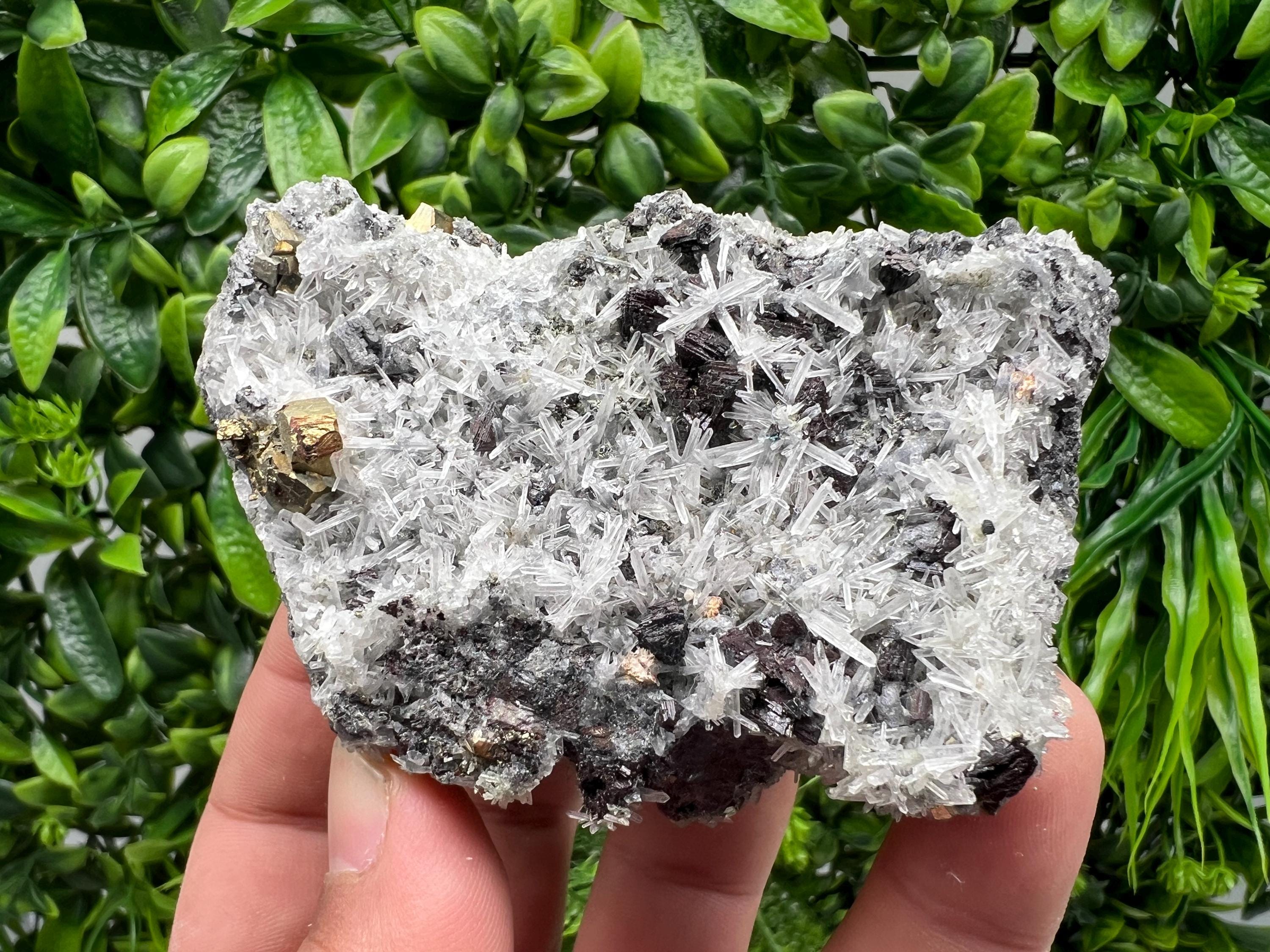 Rainbow Pyrite on Quartz with Oxide, Borieva Bulgaria