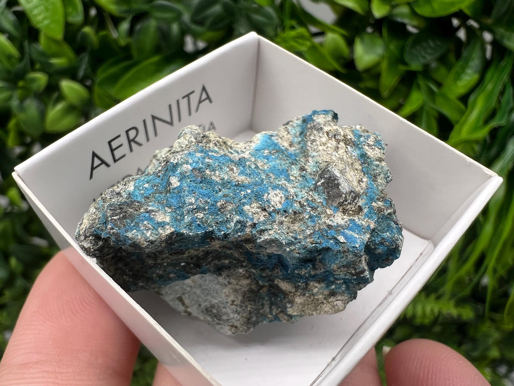 Rare Raw Aerinite Mineral Specimen: Lleida, Spain Crystal