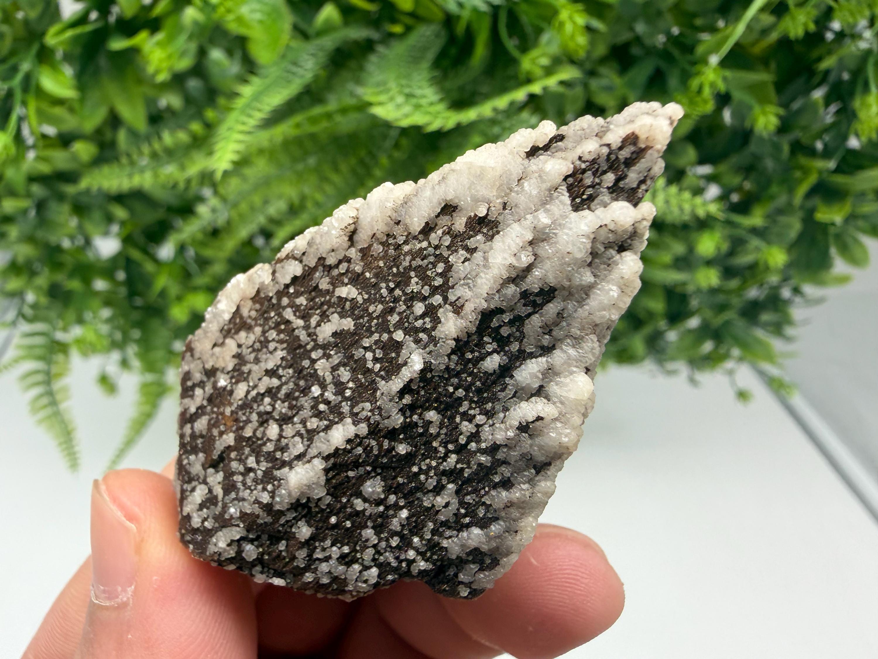 Brown Rhodochrosite on Calcite, Djurcovo Bulgaria, Mineral Specimen