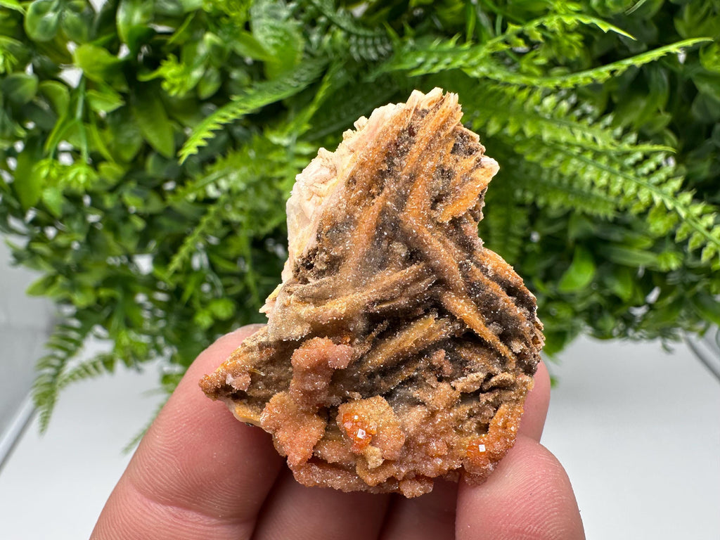 Red Vanadinite on Barite, Morocco Crystal Specimen
