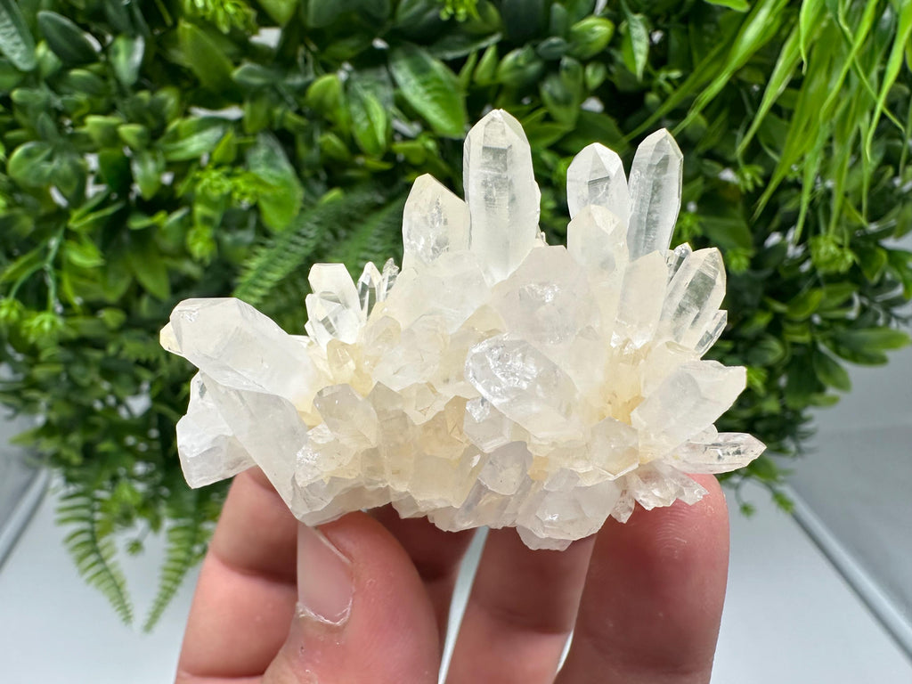 Stunning Quartz covered whit iron oxide limonite natural minerals souvenir crystal home decor stone collection minerals 9 th September mine