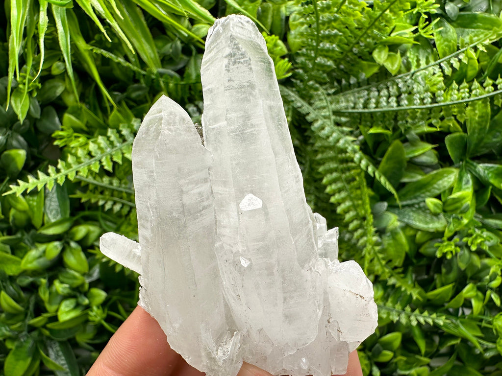 Transparent Quartz with Pyrite, Krushev Dol Mine Crystal, Bulgaria