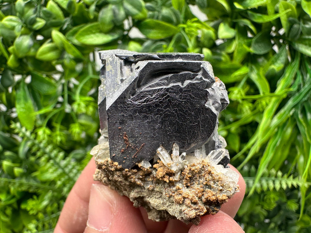 Skeletal Galena on Quartz, Borieva Mine Mineral Specimen