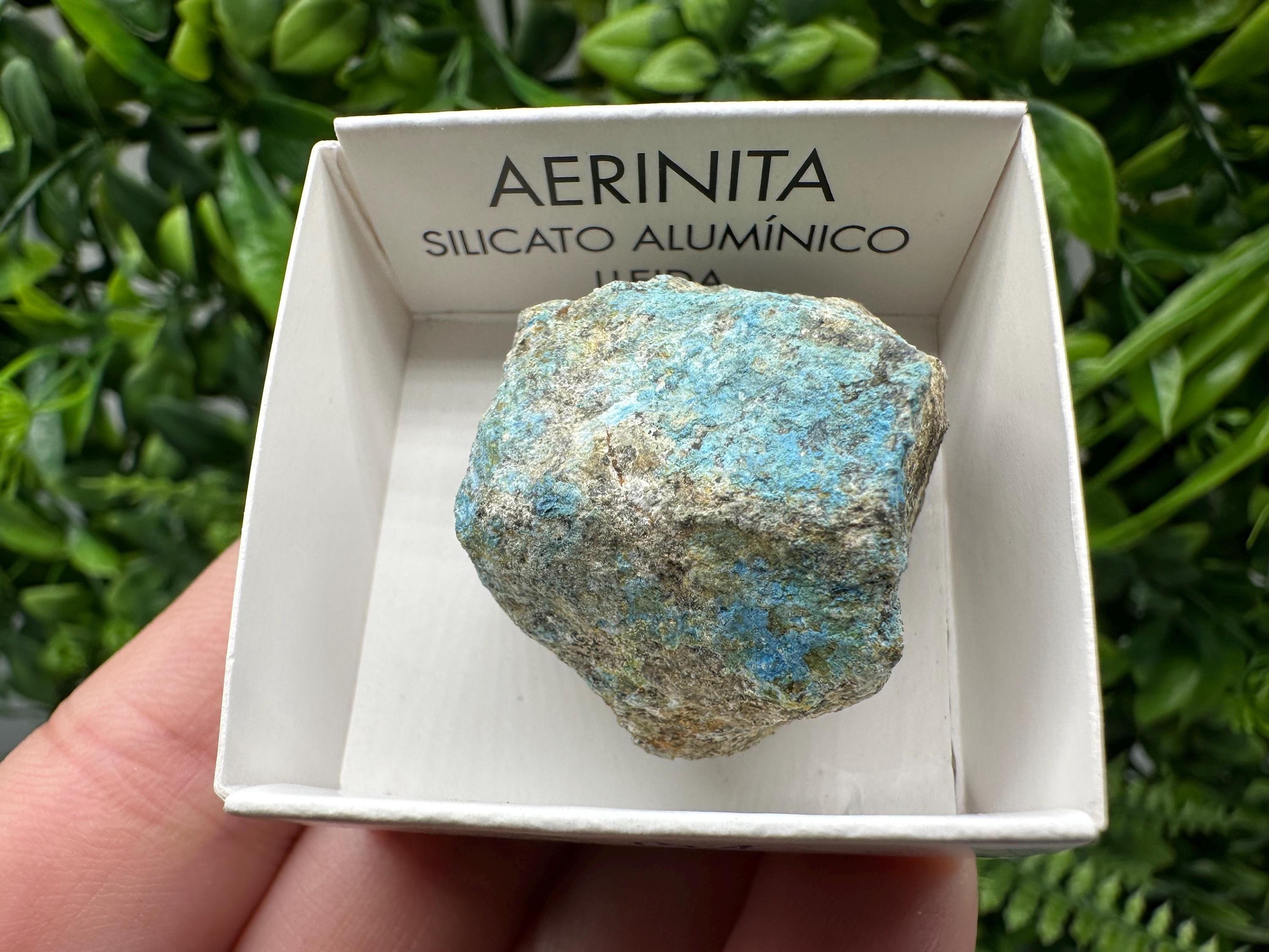 Rare Raw Aerinite Mineral Specimen: Lleida, Spain Crystal