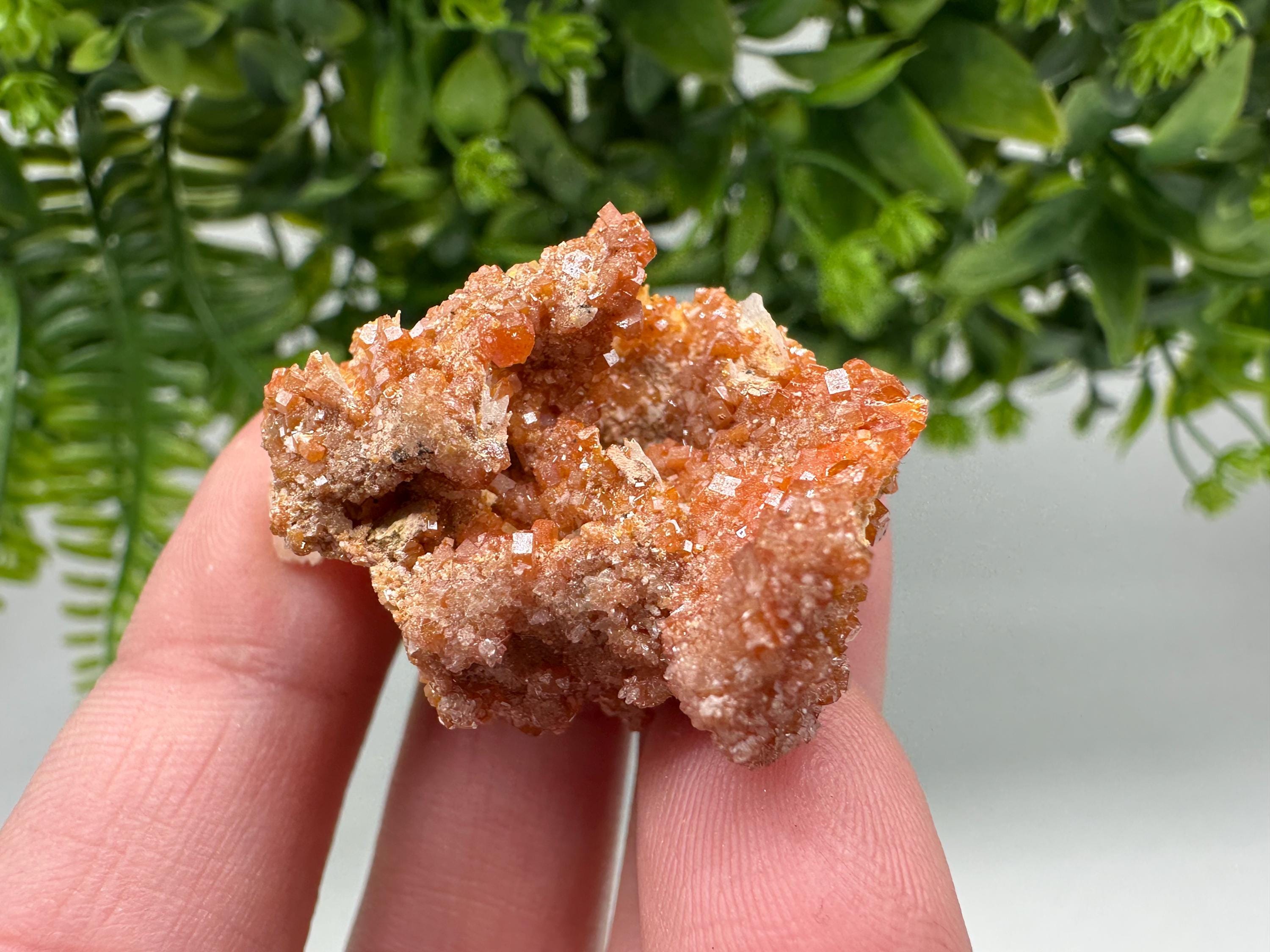 Red Vanadinite on Barite from Marocco,crystal minerals Speciment cluster Vanadinite crystal Vanadinite Geology Vanadinite cluster minerals