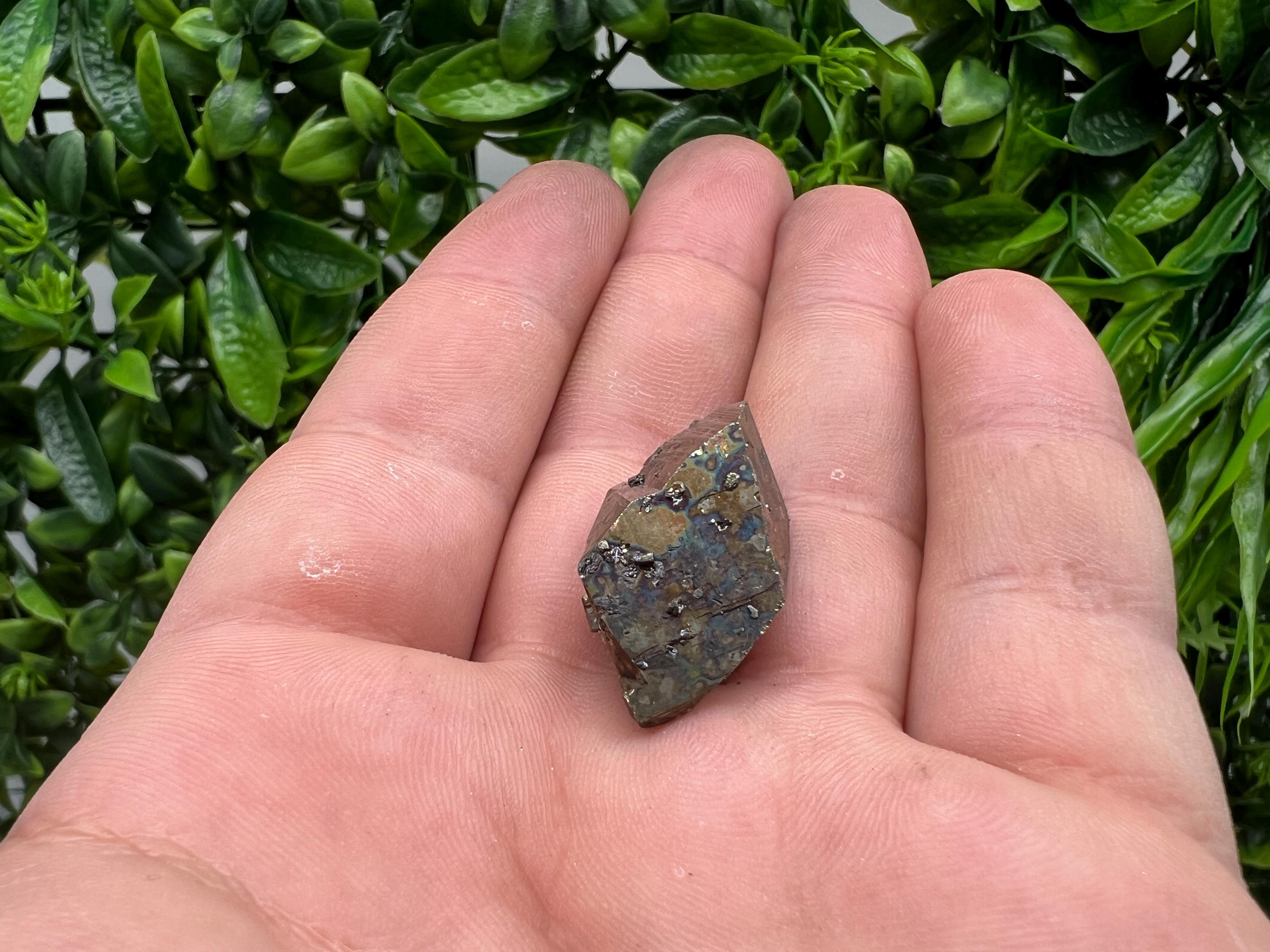 Mini Rare crystallisation Pyrite,Borieva mine,Bulgaria,floating Pyrite,golden Pyrite,Pyrite cluster,mini Collection specimen,Rainbow Pyrite
