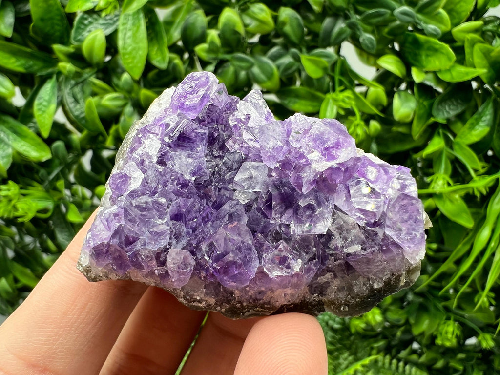 Uruguay Amethyst Crystal: Purple Quartz Cluster, Home Decor