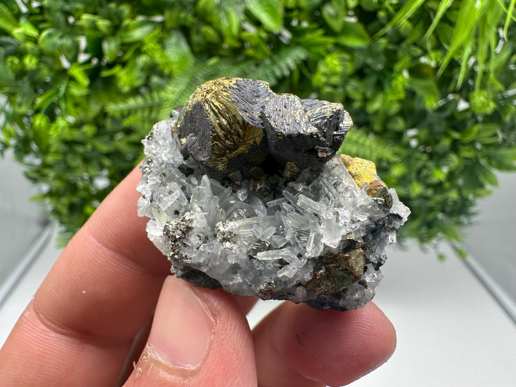 Stunning Chalcopyrite on Quartz,Chlorite From Djurcovo mine,Laki,Bulgaria,Natural,Collection mineral specimen,Home decor stone,Collection