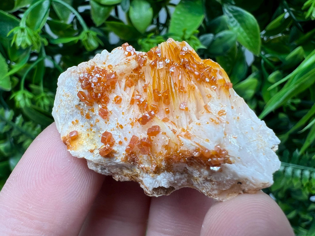 Red Vanadinite on Barite from Marocco,crystal minerals Speciment cluster Vanadinite crystal Vanadinite Geology Vanadinite cluster minerals