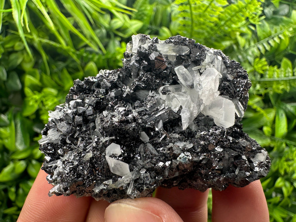 Black Sphalerite Cluster: Natural Mineral Souvenir, Borieva Bulgaria