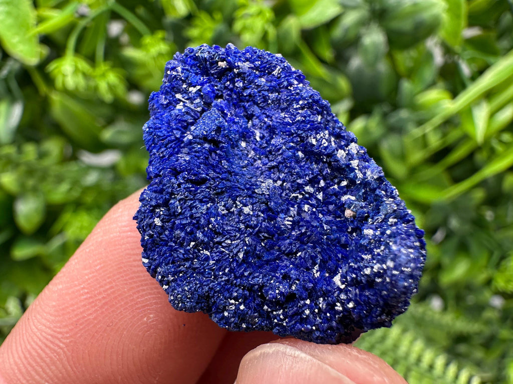 Crystallized Azurite-Kerrouchen,Morocco-Blue Azurite Specimen-High Quality Blue Azurite-Azurite Mineral Specimen, gemmy,lustrous of Azurite