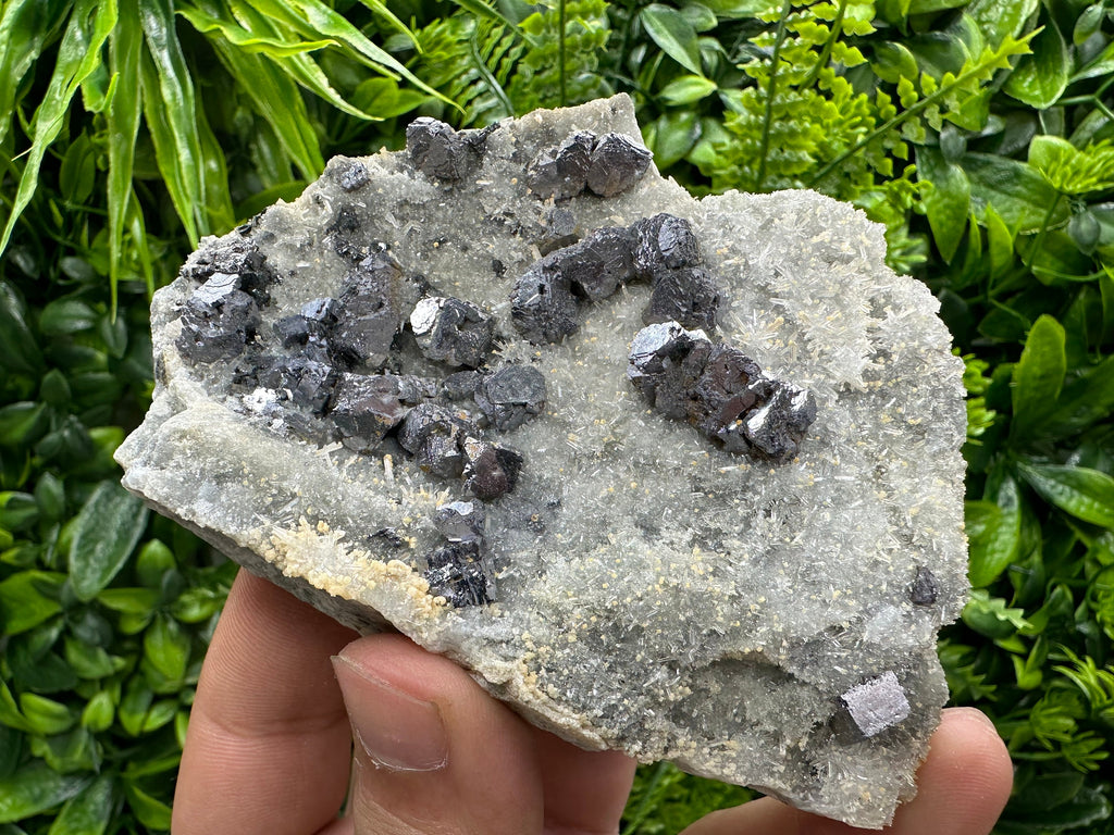 Galena with Quartz Crystal Cluster, Madan Bulgaria Mineral Specimen