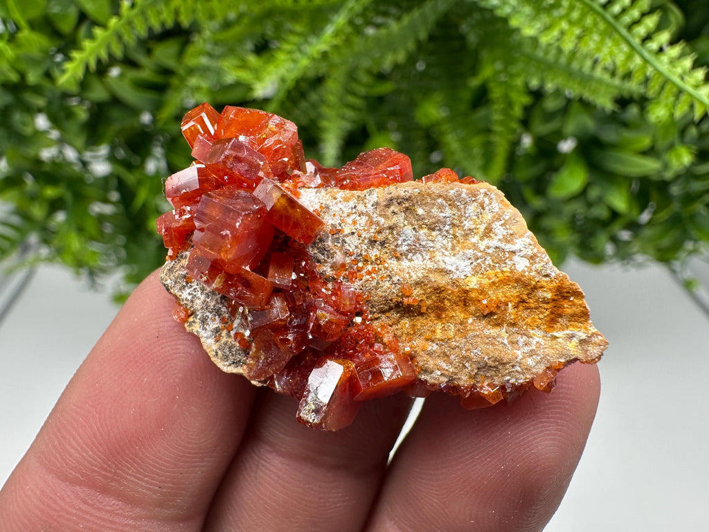 Red Vanadinite on Barite from Marocco,crystal minerals Speciment cluster Vanadinite crystal Vanadinite Geology Vanadinite cluster minerals