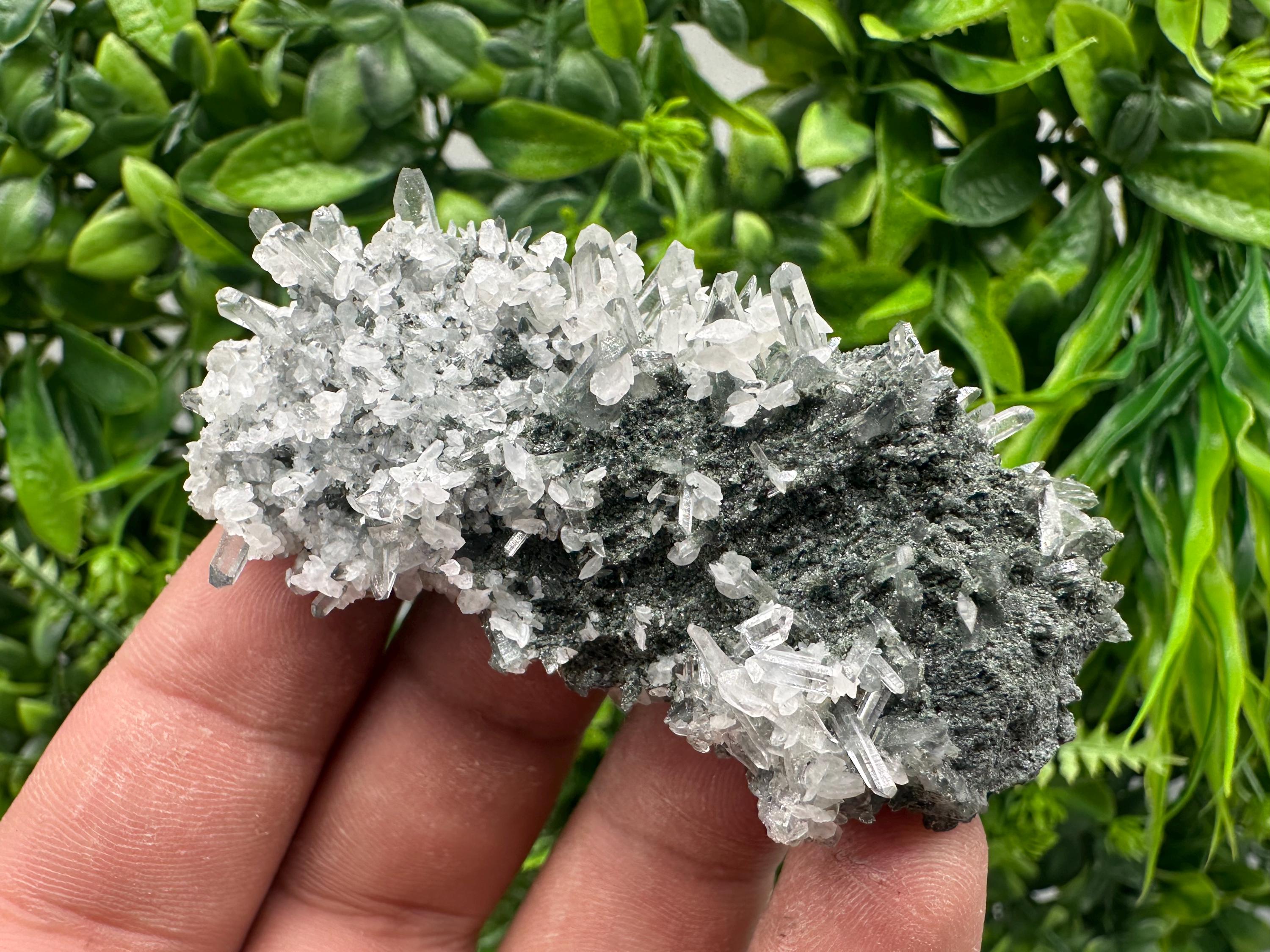 Transparent Quartz on Chlorite Matrix, Borieva Mine Mineral Specimen