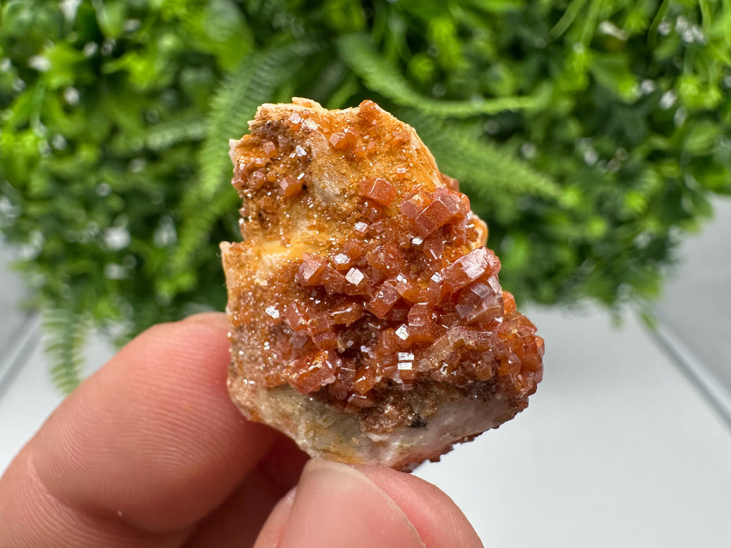 Red Vanadinite on Barite, Morocco Crystal Cluster