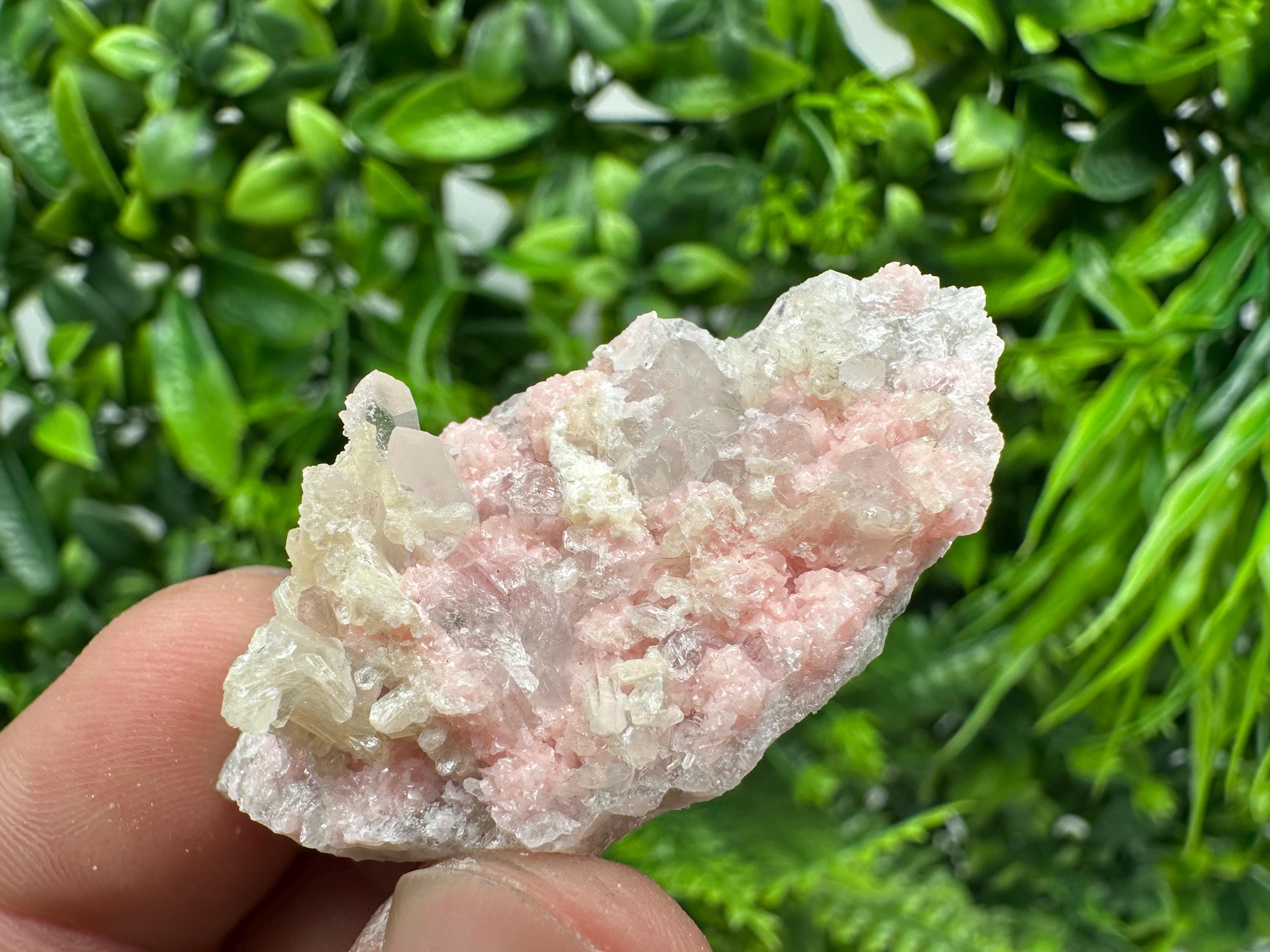 Rhodochrosite on Quartz, Starnica Mine, Bulgaria