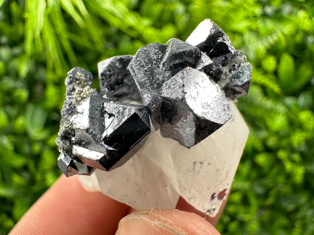 Shiny Galena on Calcite, Borieva Mine Mineral Specimen