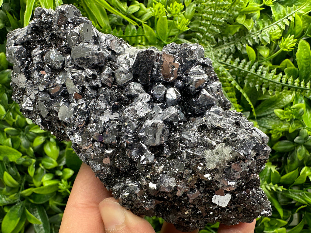 Mirror Galena on Sphalerite, Borieva Mine Mineral Specimen