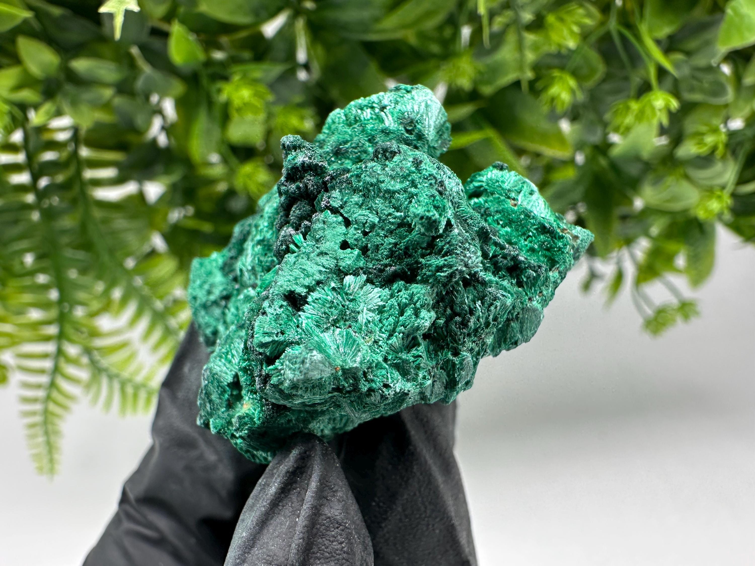 Malachite Crystal from Congo,Minerals,Crystals from Congo,Green Malachite, Malachite,Natural Malachite,Malachite Stone,Chakra, Specimens