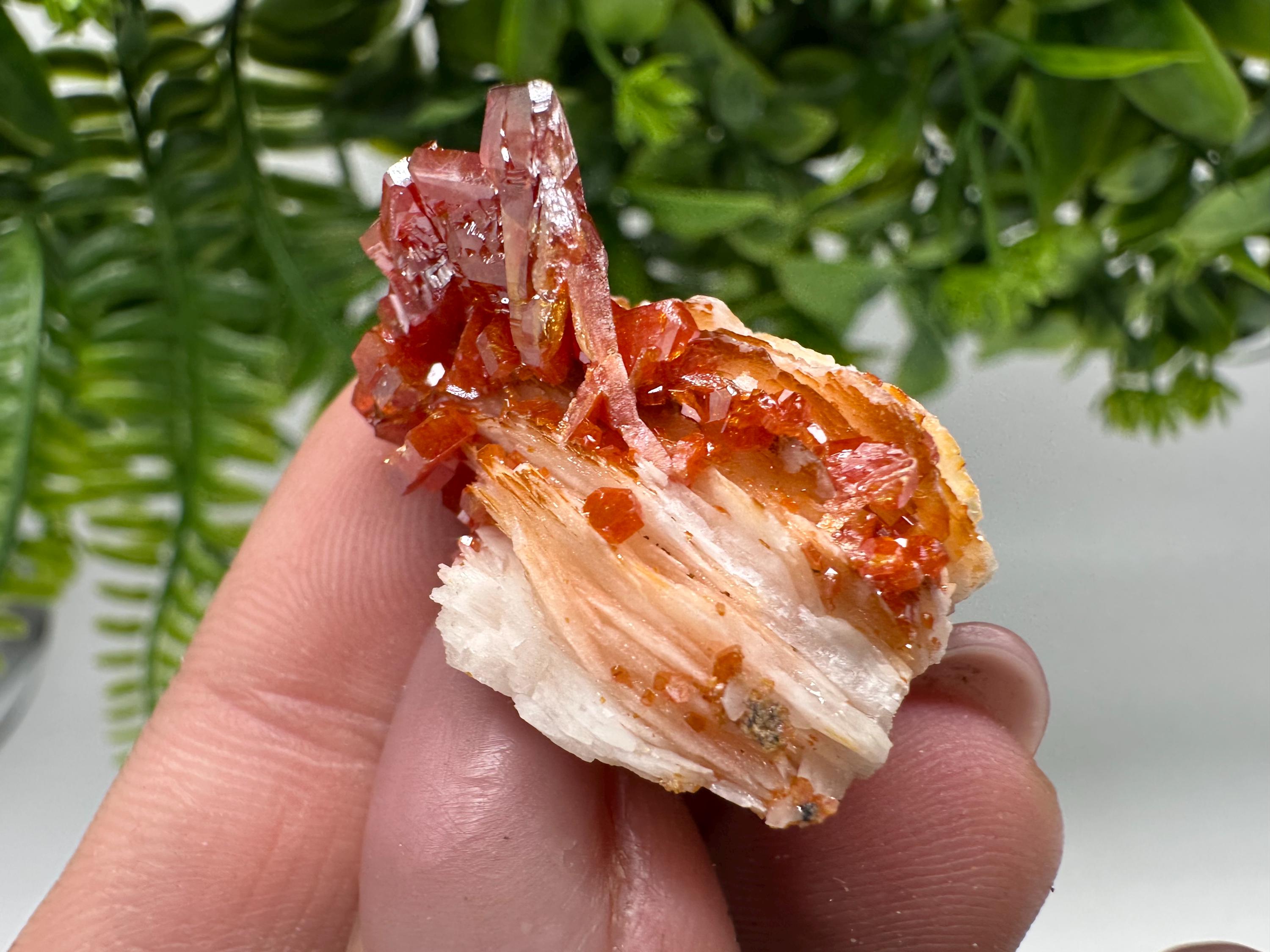 Red Vanadinite Crystal Cluster on Barite, Morocco Mineral Specimen