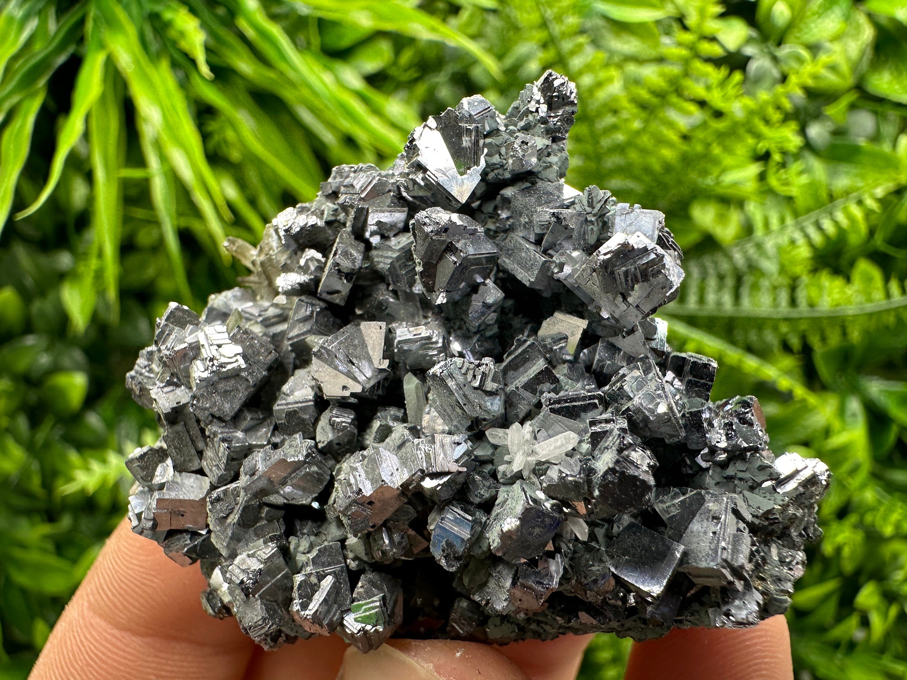 Skeletal Galena Mirror Crystal, Drujba Mine, Bulgaria