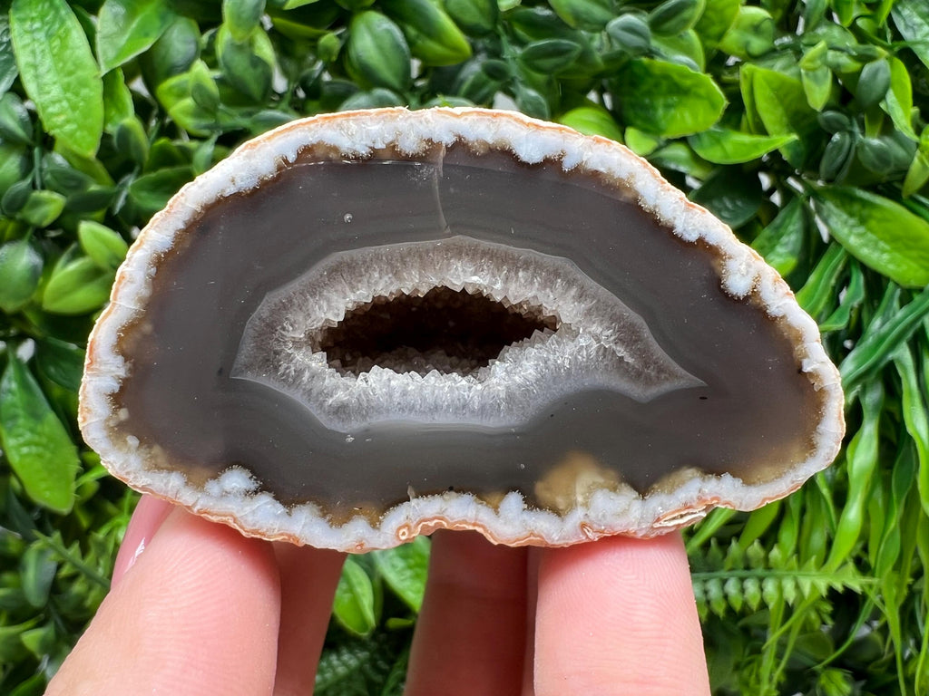 Natural Agate Druzy Geode, Quartz Crystal