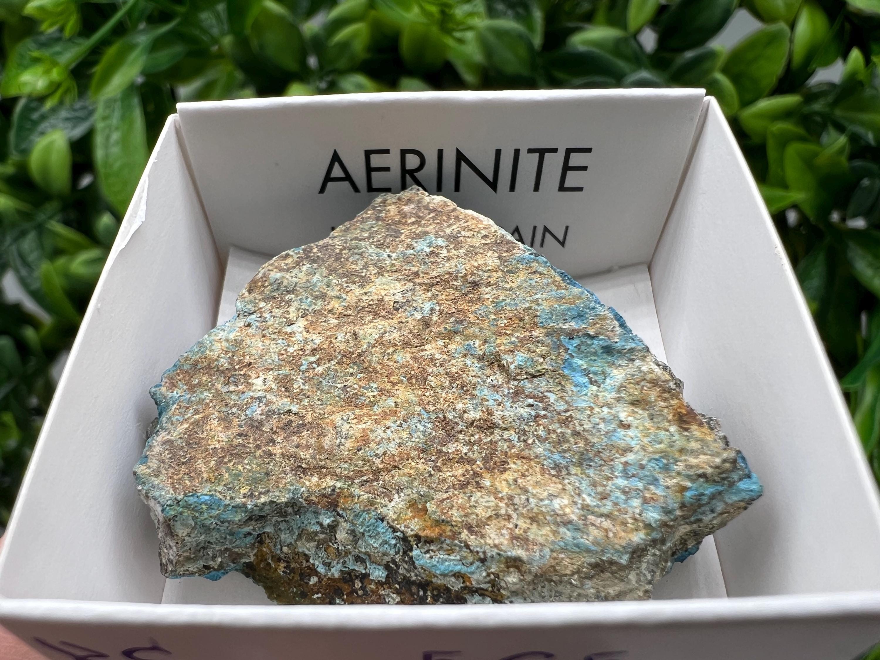 Rare Raw Aerinite Mineral Specimen: Collection Crystal from Lleida, Spain (3.5/3.5 CM)