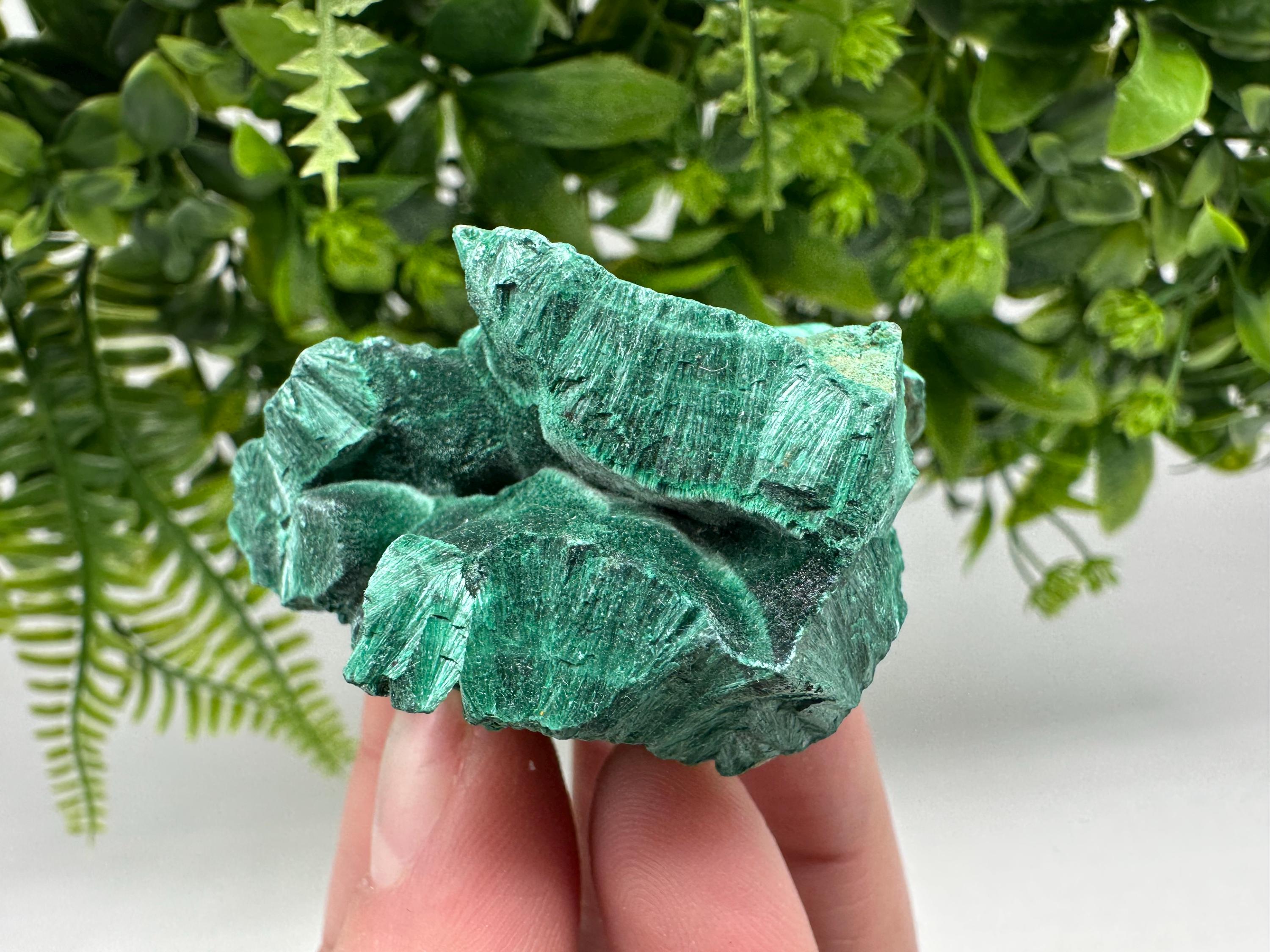 Malachite Crystal from Congo,Minerals,Crystals from Congo,Green Malachite, Malachite,Natural Malachite,Malachite Stone,Chakra, Specimens