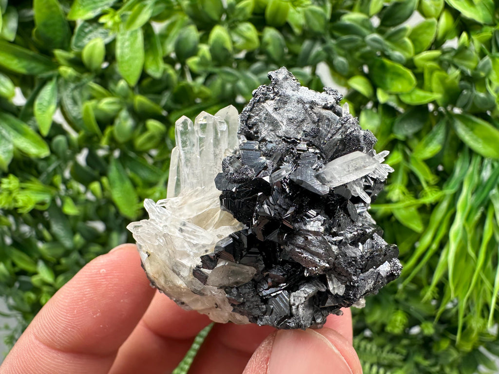 Wonderful Sphalerite Chalcopyrite on  Quartz whit Galena feom 9 th September mine,Bulgaria,natural,collection mineral specimen,gift
