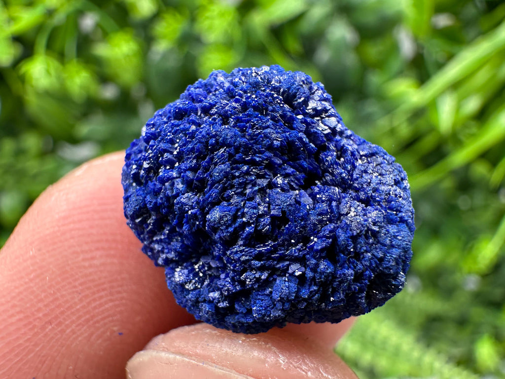 Crystallized Azurite-Kerrouchen,Morocco-Blue Azurite Specimen-High Quality Blue Azurite-Azurite Mineral Specimen, gemmy,lustrous of Azurite