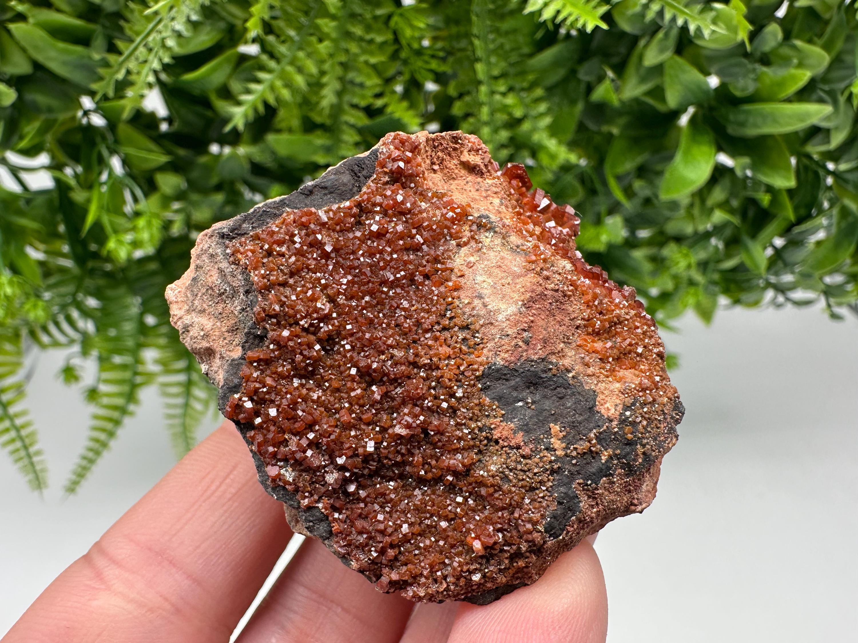 Red Vanadinite on Matrix from Marocco,crystal minerals Speciment cluster Vanadinite crystal Vanadinite Geology Vanadinite cluster minerals