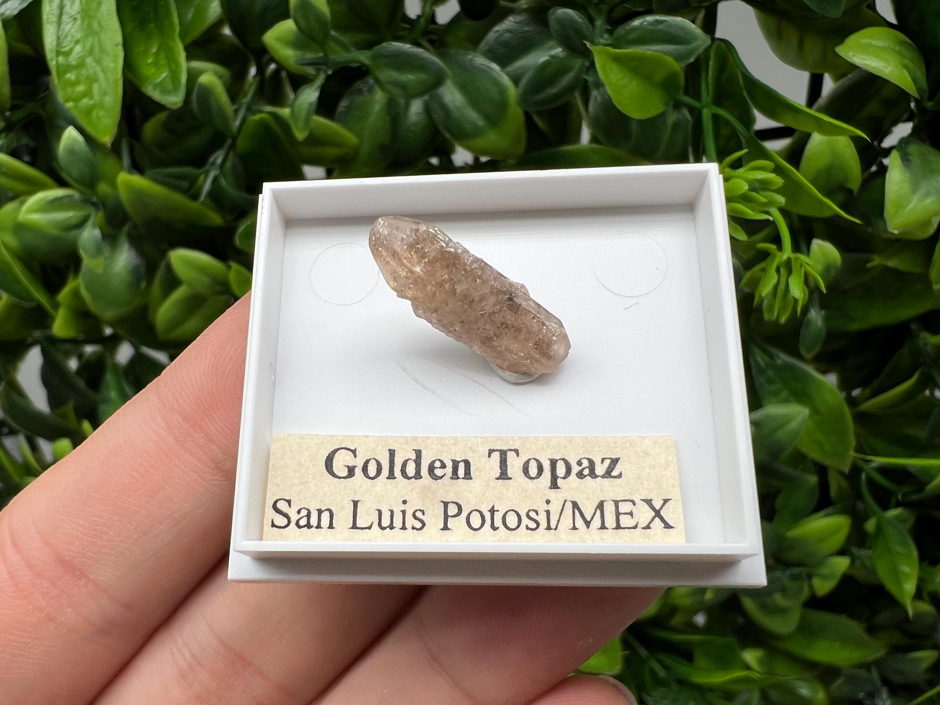 Mexican Golden Topaz Crystal, Mineral Collection Piece, Original