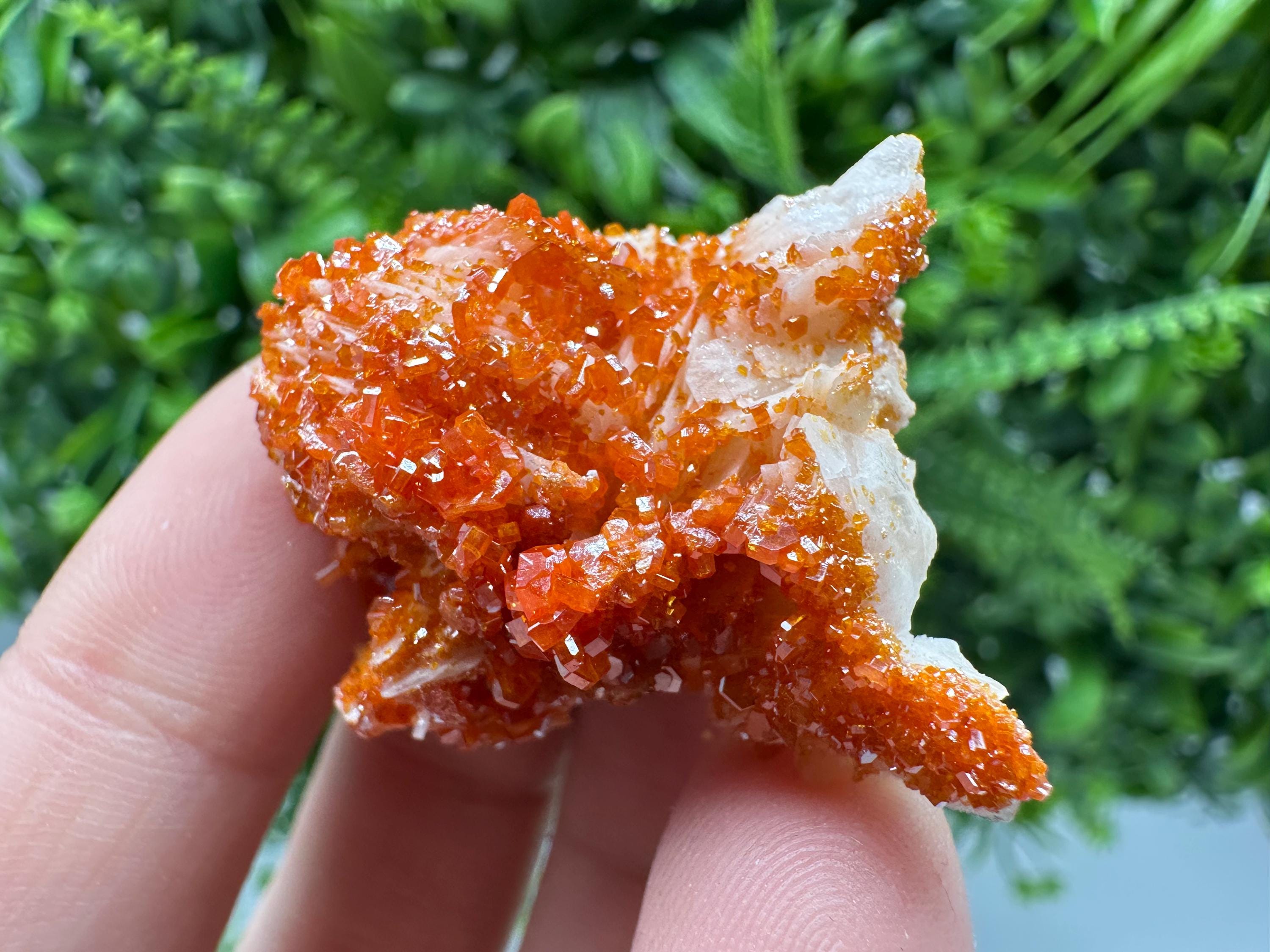Red Vanadinite on Barite Cluster, Morocco Mineral Specimen
