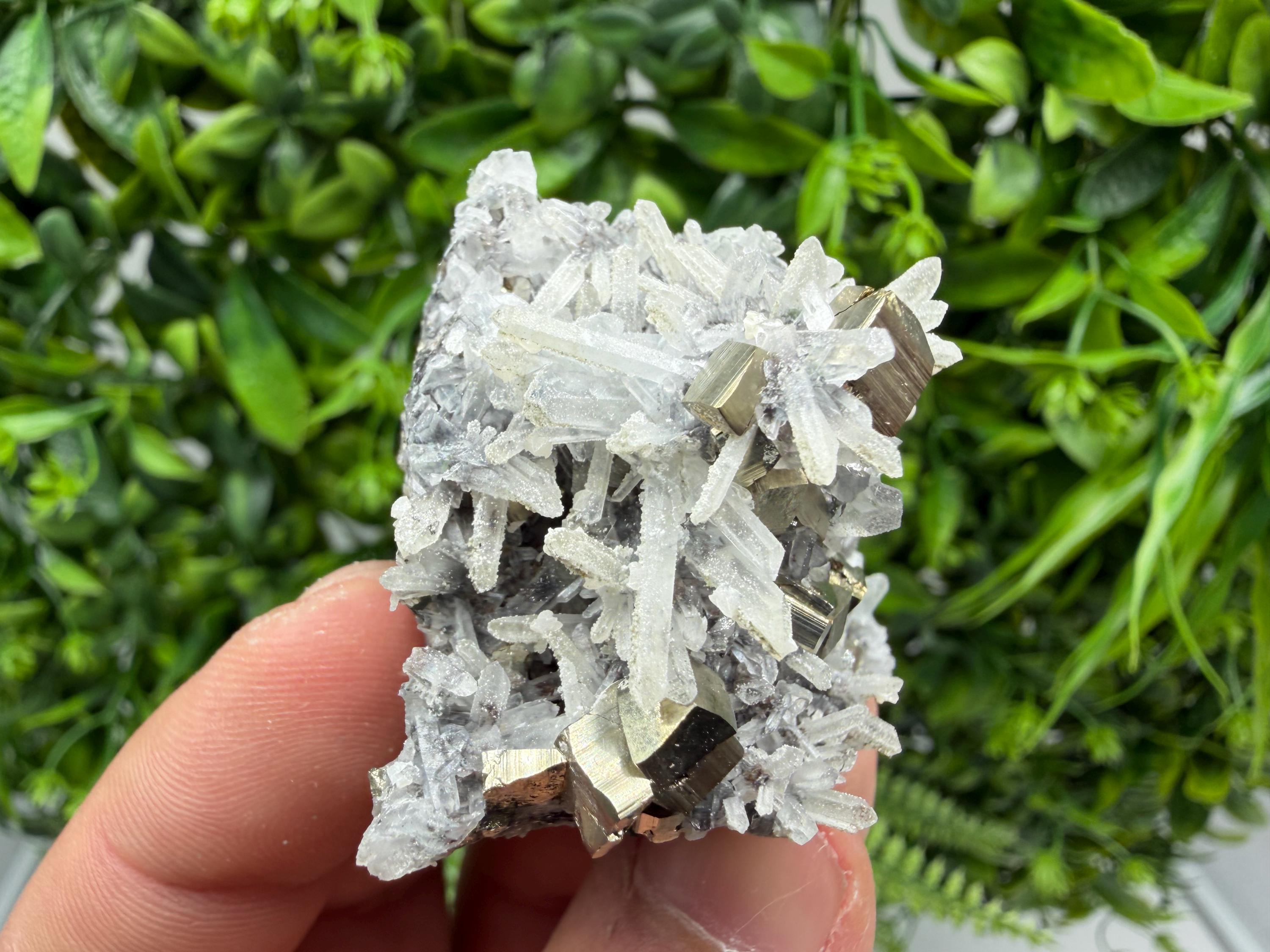Pyrite Sphalerite Quartz  Mineral Specimen, Krushev dol Mine