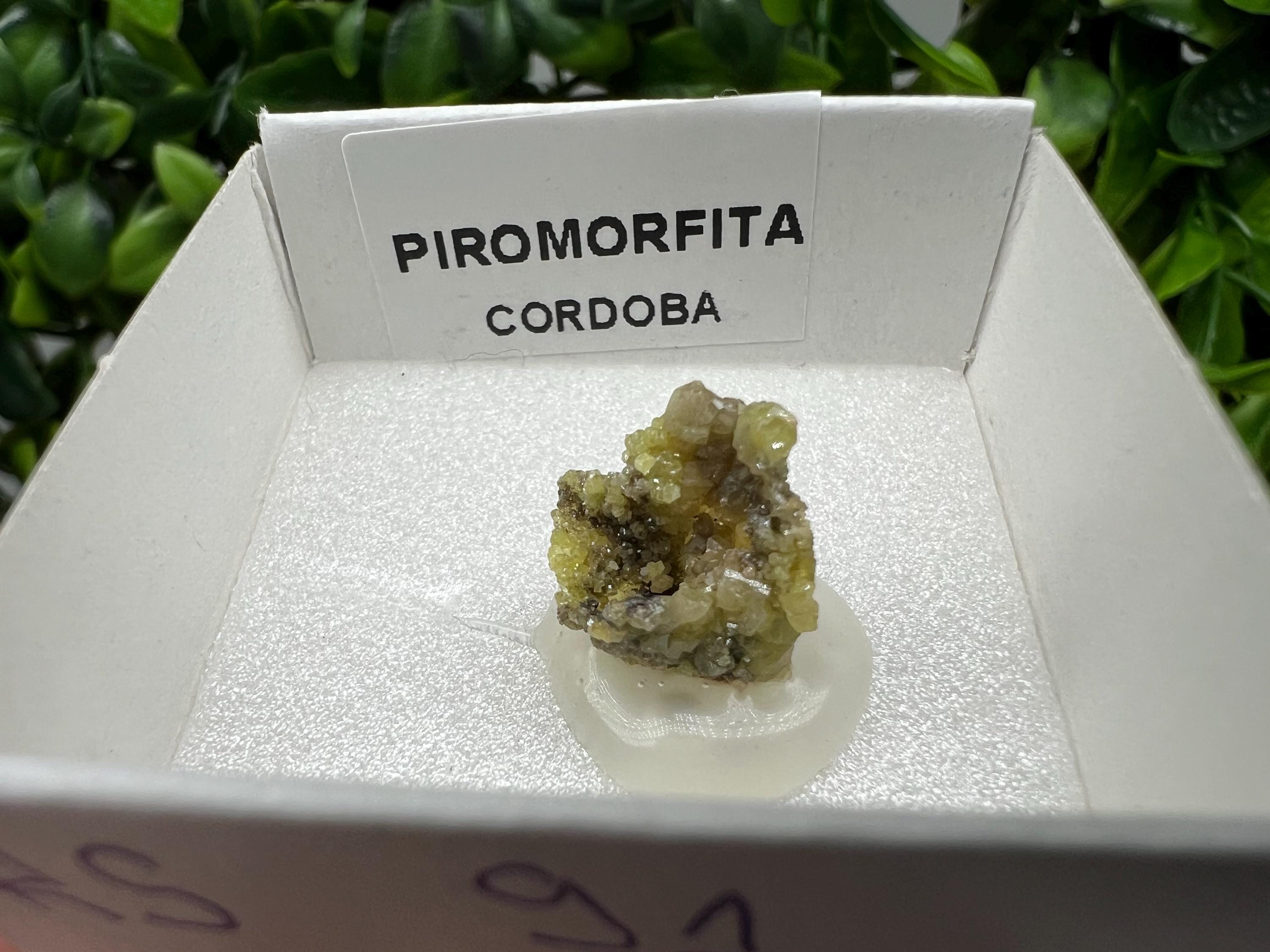 Pyromorphite Stone / Pyromorphite on Matrix / Pyromorphite Crystal / Raw Crystal / Pyromorphite Cluster / Rough Pyromorphite / Pyromorphite