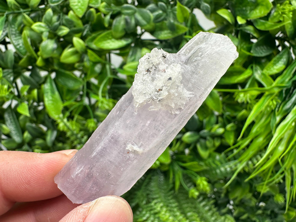 Amethyst Phantom Quartz Crystal with Chalcedony and Chlorite