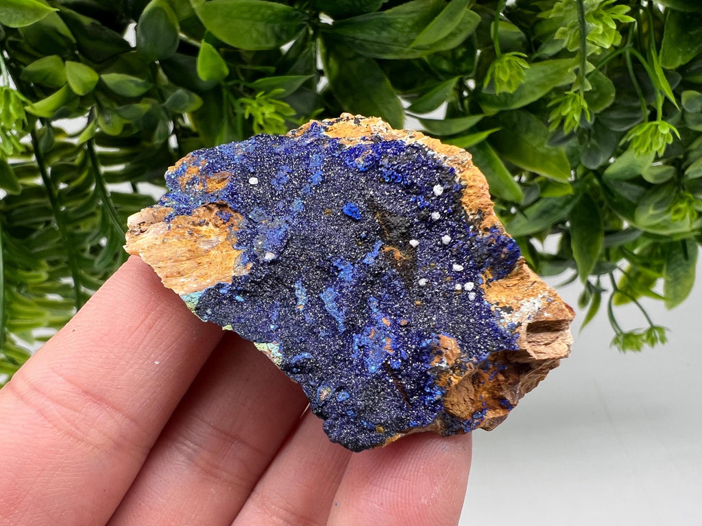 Azurite Malachite Mineral Specimen: Moroccan Blue-Green Crystal, Collector Stone