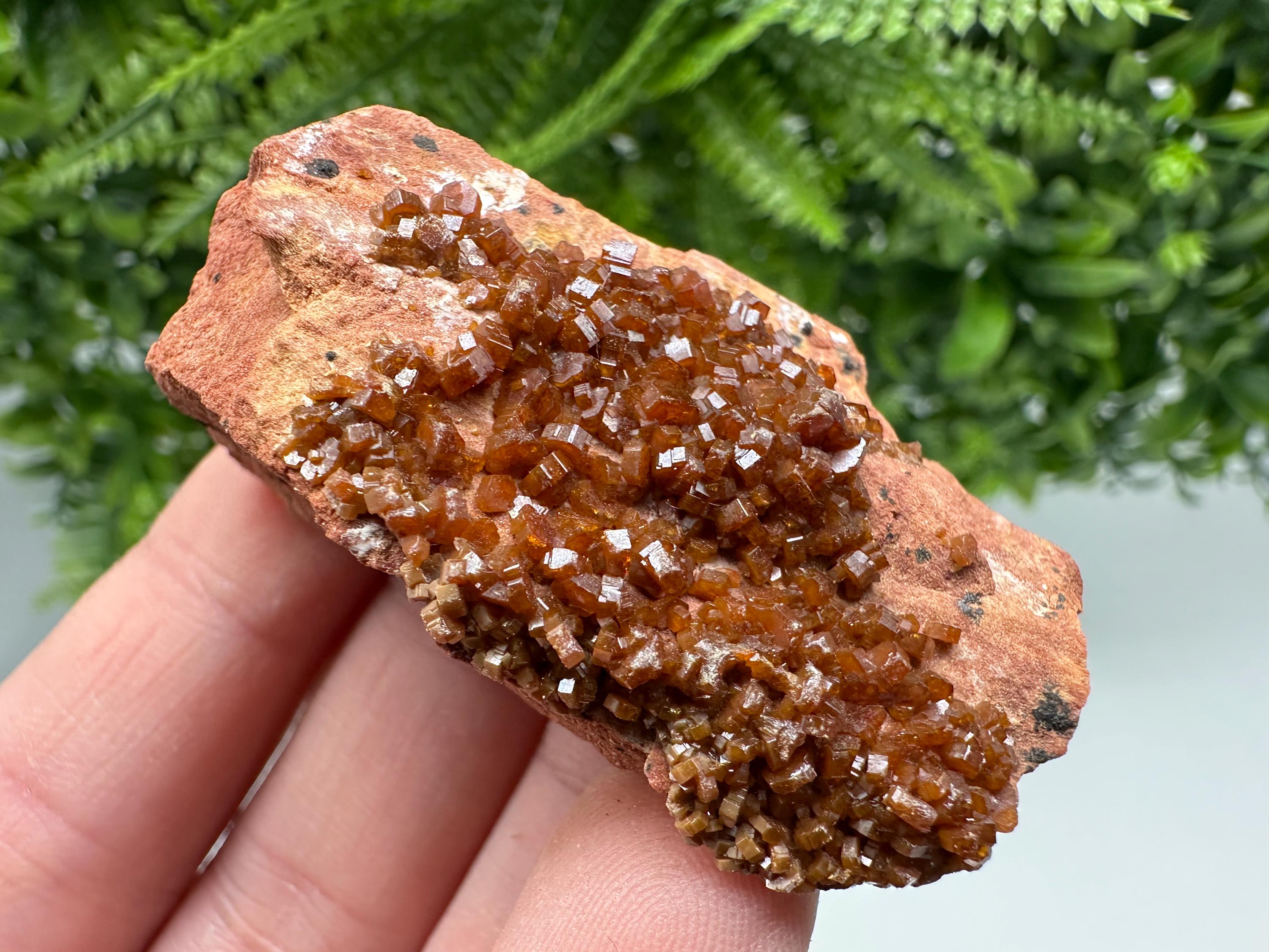 Red Vanadinite on Matrix from Marocco,crystal minerals Speciment cluster Vanadinite crystal Vanadinite Geology Vanadinite cluster minerals