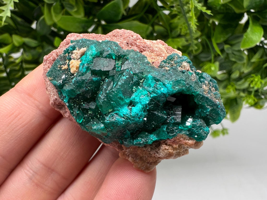 Stunning Green Dioptase from Sanda Hills,Mindouli,Pool Department,Mindouli District,Congo,green Dioptase,Dioptas Crystal,Dioptase collecting