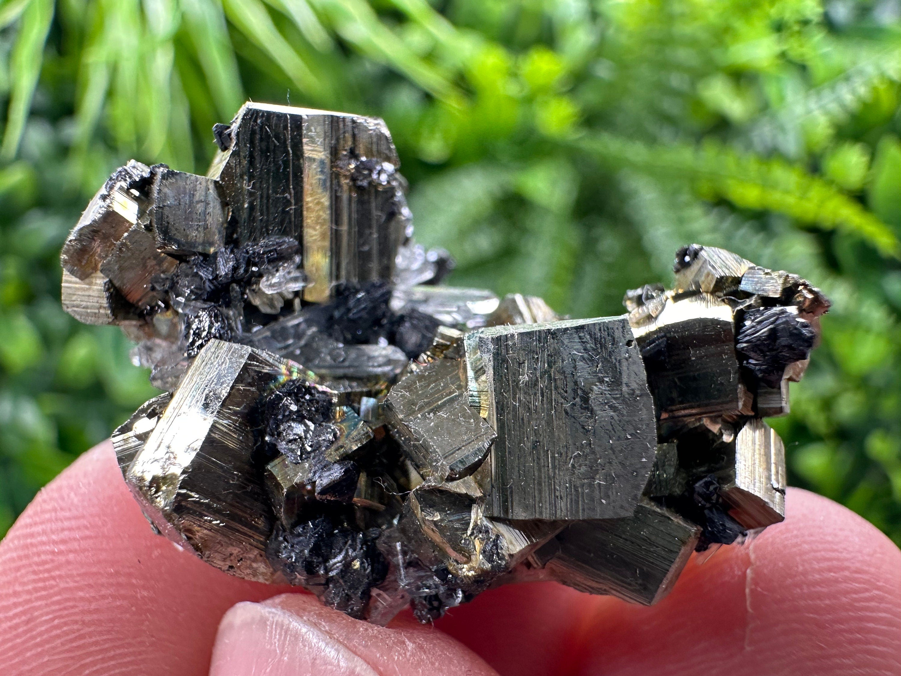 Pyrite with Hematite, Sphalerite & Quartz: Borieva Mine Mineral Specimen