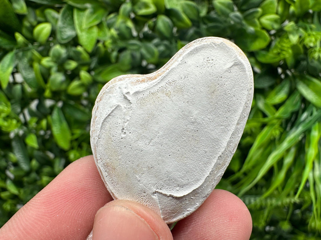 Menalite Crystal: White Fairy Stone from Morocco