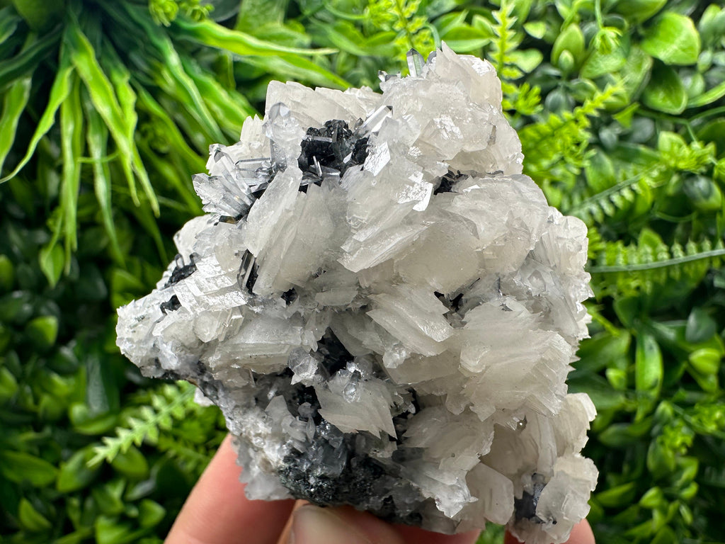 UV Fluorescence Calcite on Sphalerite, Quartz, Borieva Mine Crystal